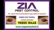 Bed Bug Pest Control | 100% safe and secured service provided  | 7035